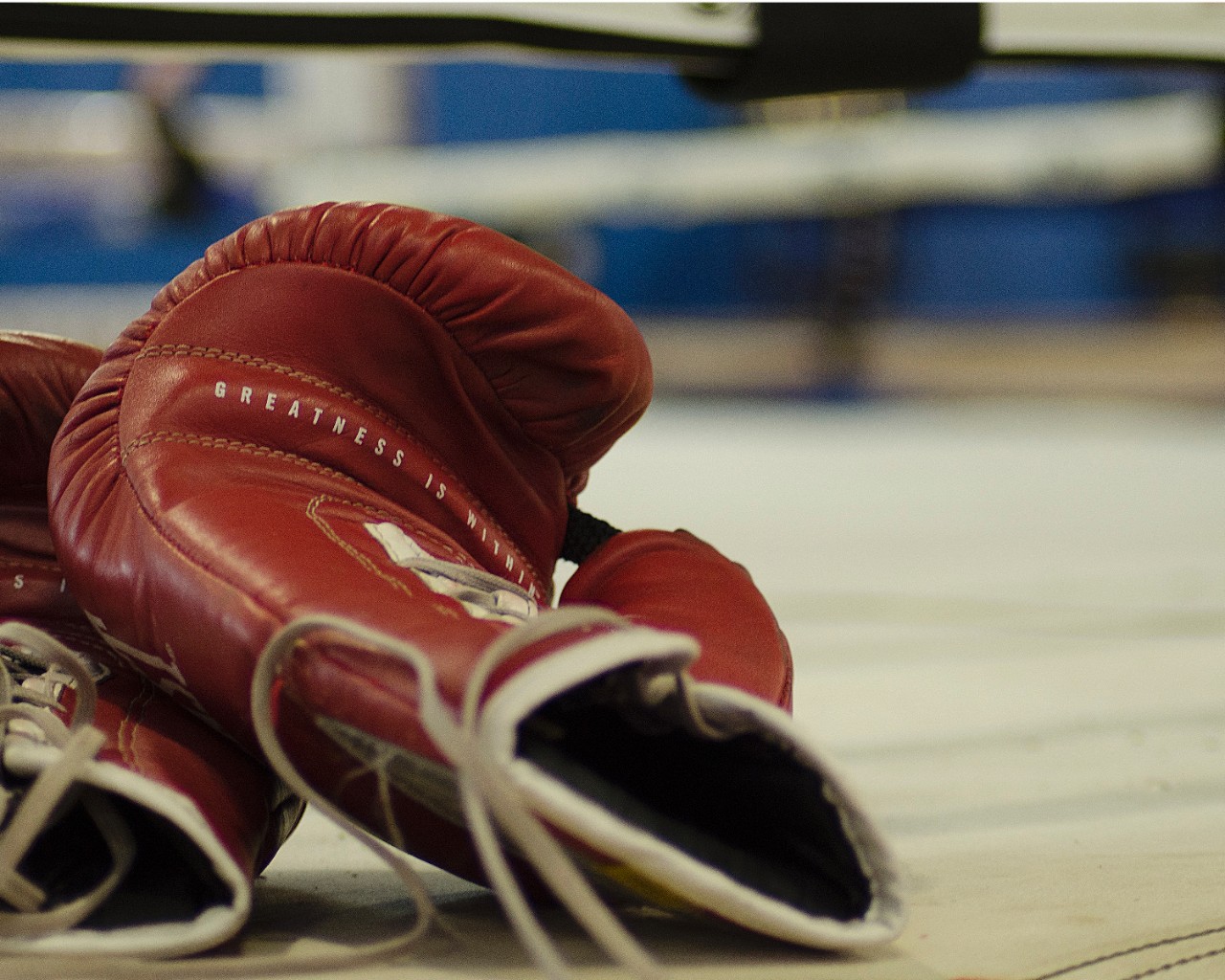 Greatness is Within, photograph (2014), $100