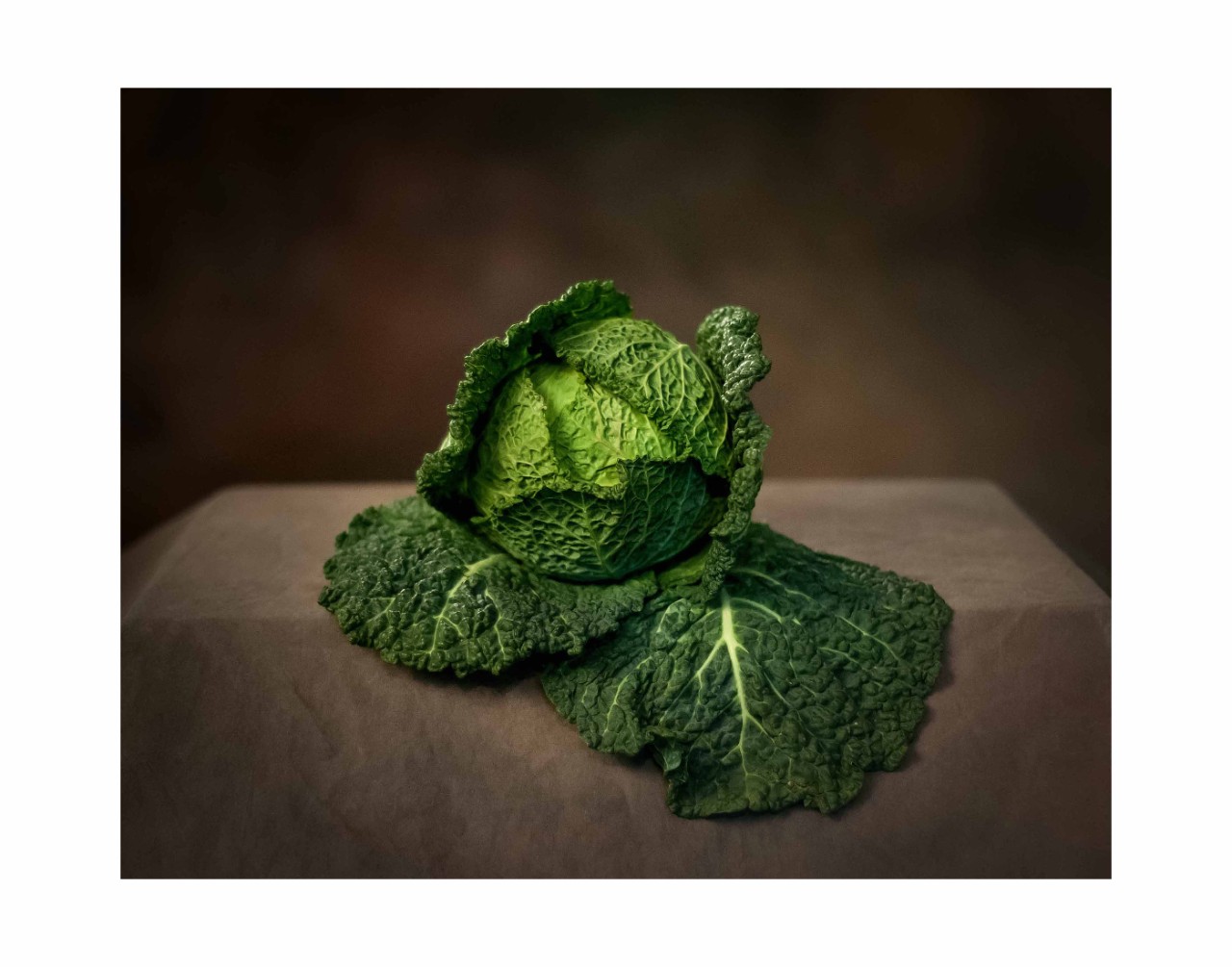 2. Portrait of Cabbage, color photograph, 11” x 14” (2013)