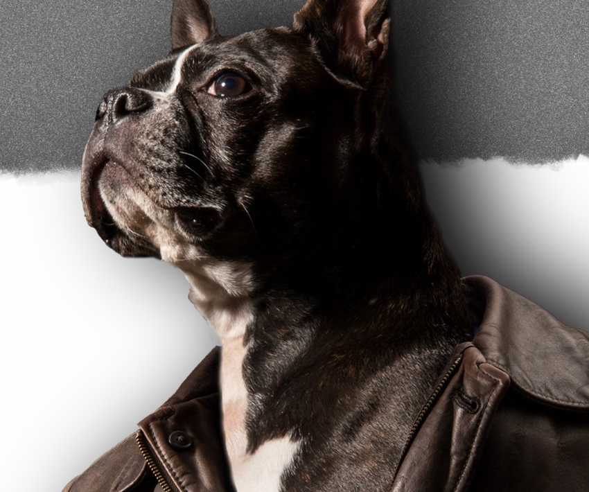 Autosave-File vom d-lab2/3 der AgfaPhoto GmbH