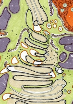 pen and paper abstract artwork