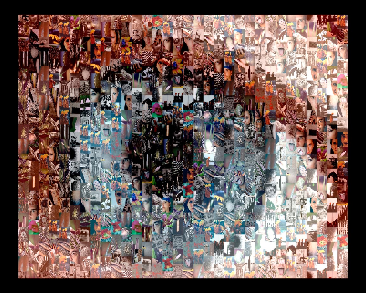 Photographic Art, The Eye of the Beholder (2002)