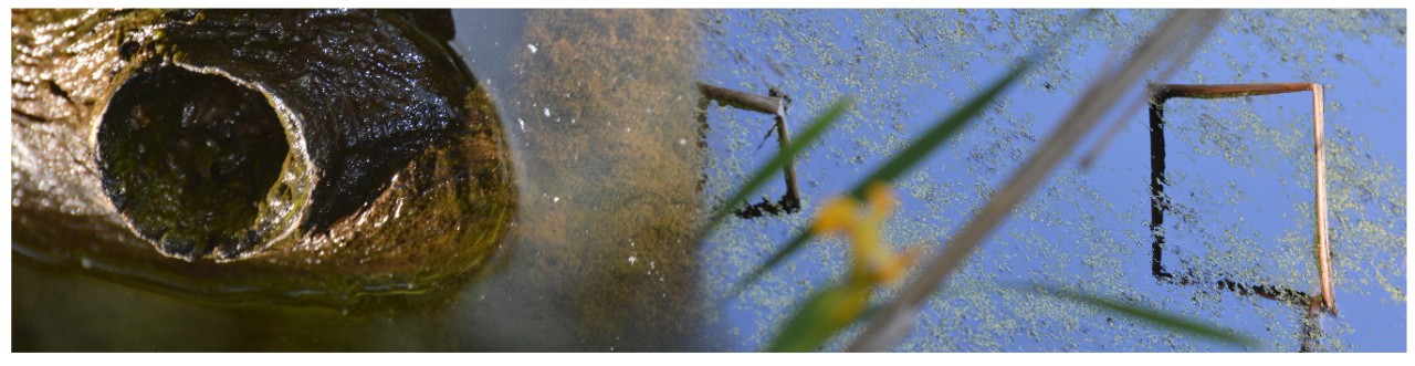 Ted Ferdinand, Crescent and Implied Cube (2014)