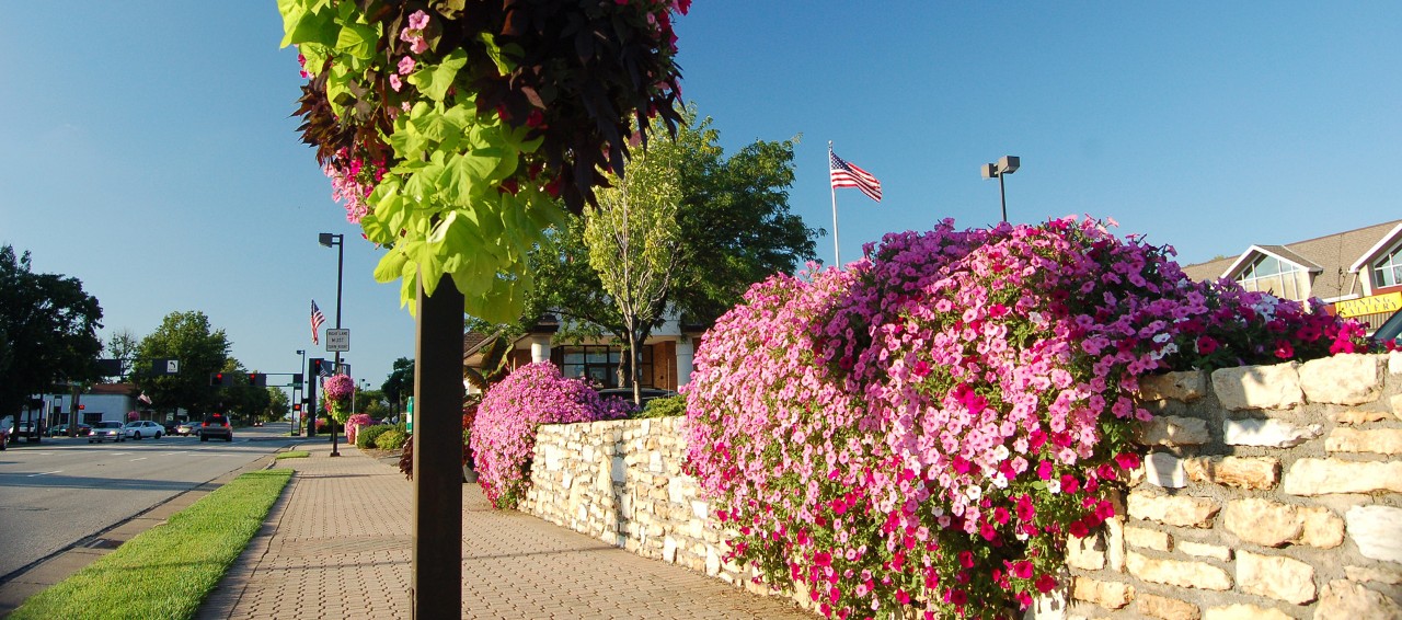 Flowers in downtown Blue Ash, OH